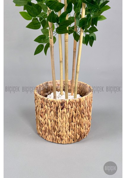 Yapay Benjamin Ağacı 170CM Hasır Bohem1 Saksıda fırsatları