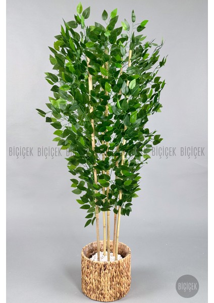 Yapay Benjamin Ağacı 170CM Hasır Bohem1 Saksıda indirimleri