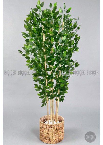 Yapay Benjamin Ağacı 170CM Hasır Bohem1 Saksıda
