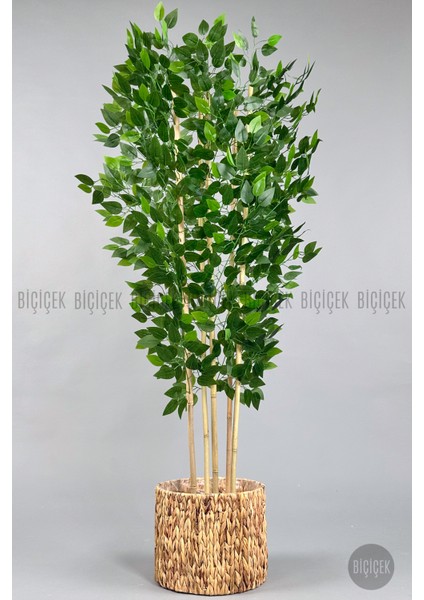 Yapay Benjamin Ağacı 170CM Hasır Bohem1 Saksıda