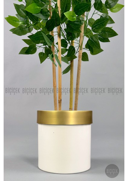 Yapay Benjamin Ağacı 140CM Krem Gold Metal Saksıda fiyatları