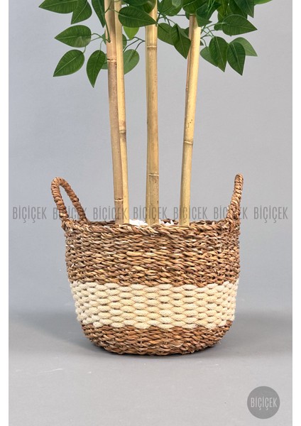 Yapay Benjamin Ağacı 170CM Krem Hasır Saksıda fırsatları