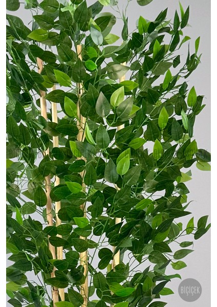 Yapay Benjamin Ağacı 170CM Krem Hasır Saksıda