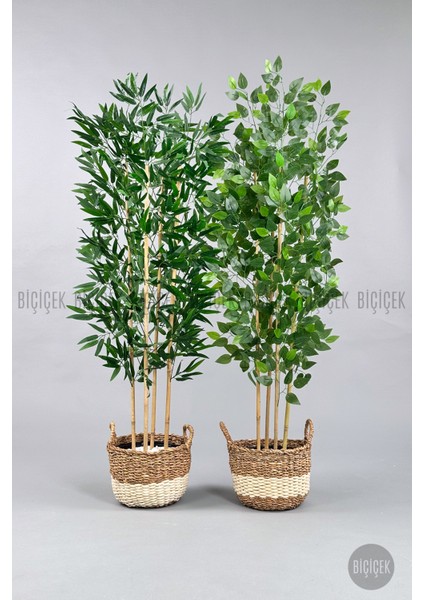 140 cm Yapay Bambu&benjamin Ağacı Ikiliset Hasır Saksıda fırsatları