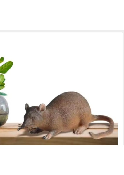 Kahverengı Yumusak Fare fiyatları