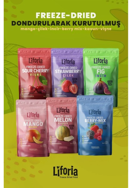 6’lı Dondurulmuş Meyve - Sağlıklı Atıştırmalık - Mango Kavun Çilek Vişne Incir Berry Mix