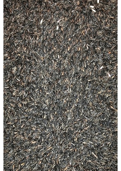 Litaetrend Nijer Tohumu Doğal Taze Takviye Kuş Yemi - 5 kg modelleri