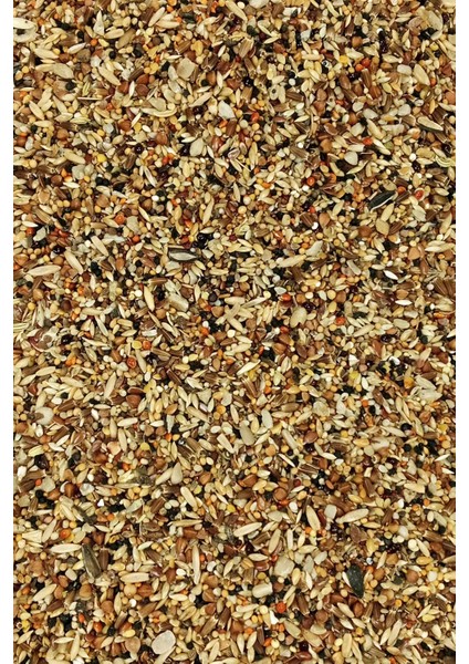 Litaetrend Tüm Kuşlar Için Doğal Taze Sağlık Tohumu Karışımı - 1 kg modelleri