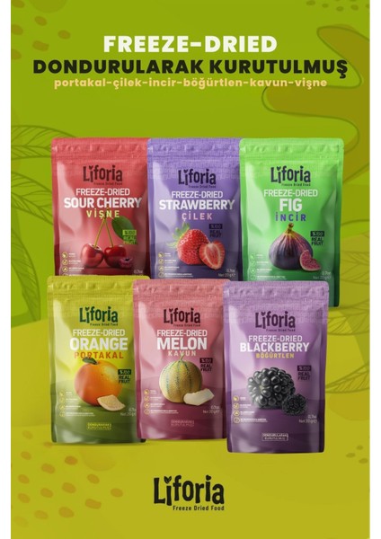 6’lı Dondurulmuş Meyve - Sağlıklı Atıştırmalık - Vişne Kavun Çilek Incir Portakal Böğürtlen