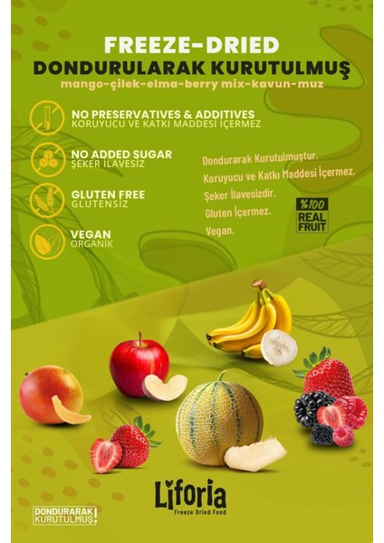 6’lı Dondurulmuş Meyve - Sağlıklı Atıştırmalık - Muz Elma Çilek Mango Berry Mix Kavun fiyatları