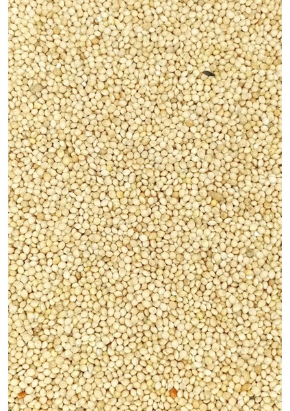 Litaetrend Ak Darı Sade Tozsuz Doğal Taze Kuş Yemi - 500 gr modelleri