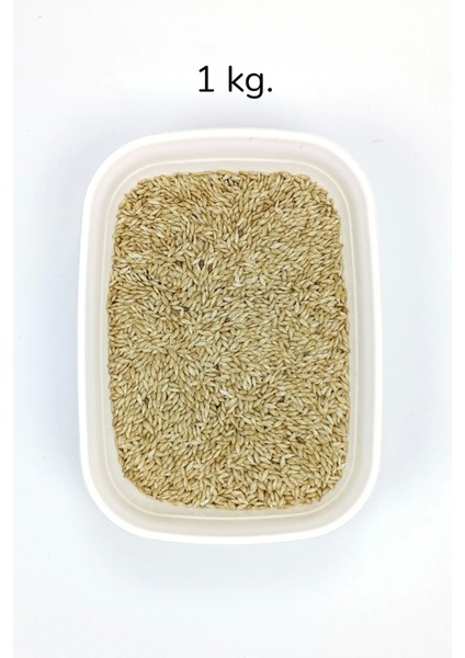 Litaetrend Doğal Taze Kanarya Sade Kuş Yemi - 1 kg