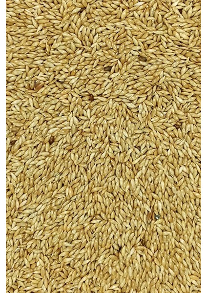Litaetrend Doğal Taze Kanarya Sade Kuş Yemi - 1 kg modelleri