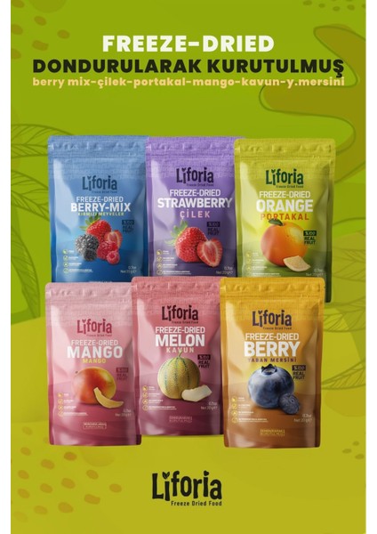 6’lı Dondurulmuş Meyve - Sağlıklı Atıştırmalık - Mango Berry Mix Portakal Yaban Mersini Çilek Kavun