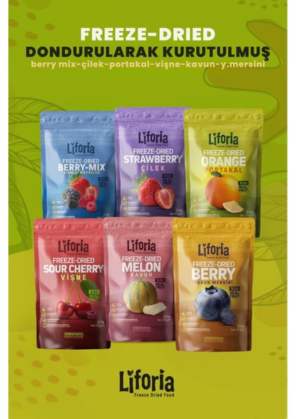 6’lı Dondurulmuş Meyve - Sağlıklı Atıştırmalık - Vişne Çilek Kavun Yaban Mersini Portakal Berry Mix