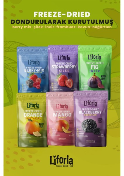 6’lı Dondurulmuş Meyve - Sağlıklı Atıştırmalık - Çilek Portakal Incir Mango Böğürtlen Berry Mix