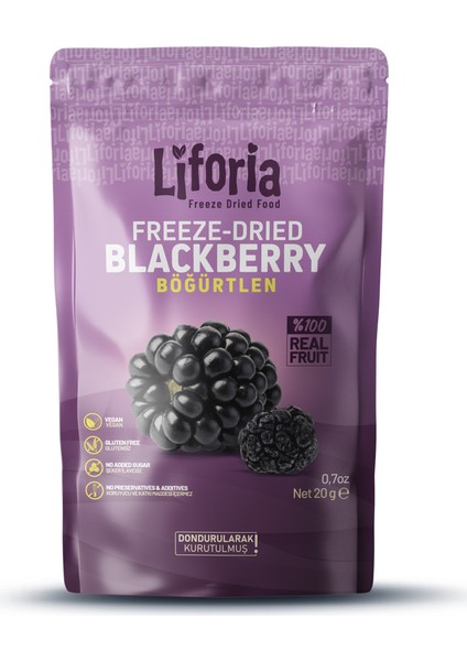 6’lı Dondurulmuş Meyve - Sağlıklı Atıştırmalık - Çilek Portakal Incir Mango Böğürtlen Berry Mix modelleri