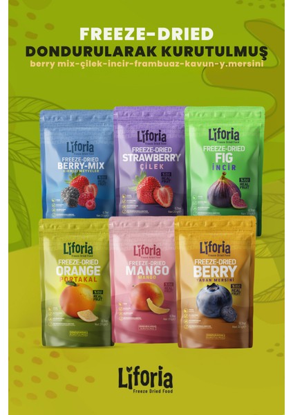 6’lı Dondurulmuş Meyve - Sağlıklı Atıştırmalık - Çilek Mango Incir Yaban Mersini Berry Mix Portakal