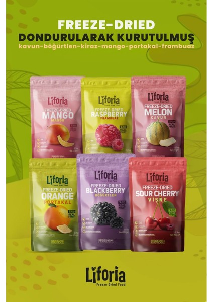 6’lı Dondurulmuş Meyve - Sağlıklı Atıştırmalık - Vişne Portakal Mango Böğürtlen Frambuaz Kavun