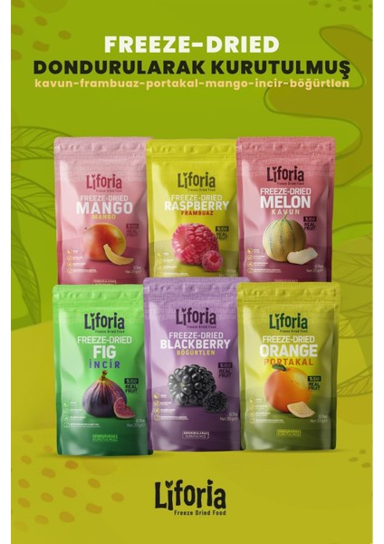 6’lı Dondurulmuş Meyve - Sağlıklı Atıştırmalık - Mango Incir Kavun Portakal Frambuaz Böğürtlen