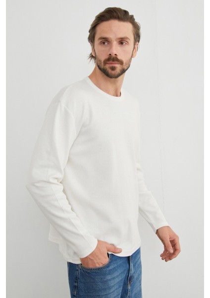 Fitilli Bisiklet Yaka Likralı Body fırsatları