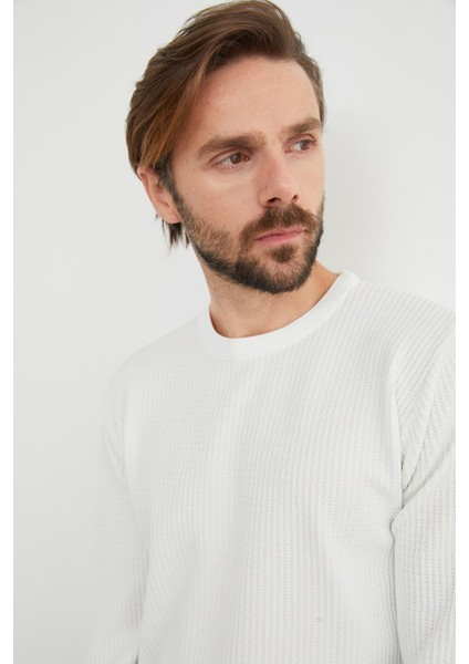 Basic Bisiklet Yaka Örgü Triko Kazak modelleri