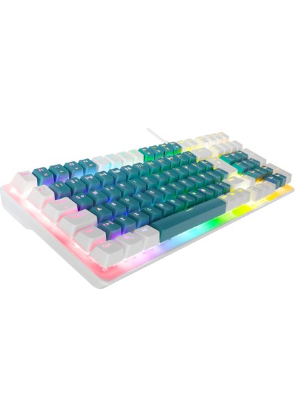 Emachines, EAK100, Yeşil/beyaz, USB Kablolu, Rgb Backlight, Red Switch, Mekanik, Türkçe Q, 100 Tuşlu, Gaming Klavye modelleri