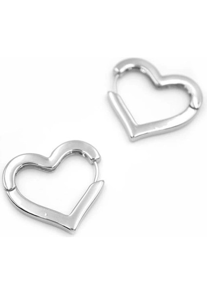 Kalp Küpe - Gümüş fiyatları