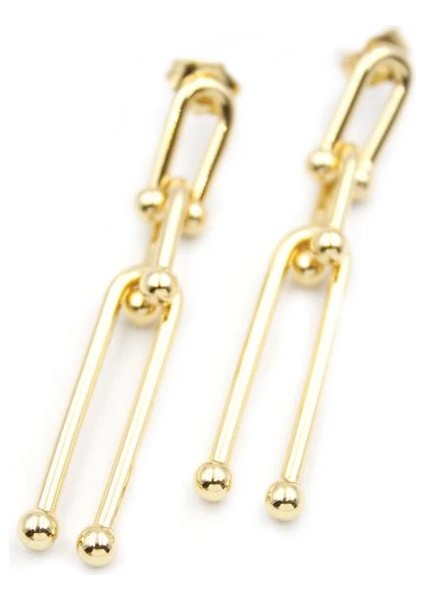 Tf Küpe - Altın fiyatları