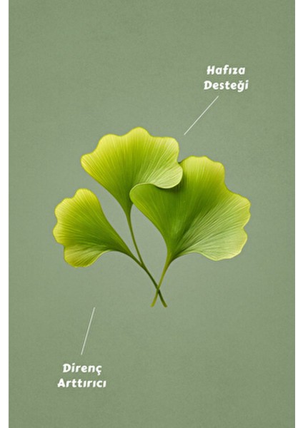 Ginkgo Biloba Çay Süzen Poşet 40'lı Vitamin fırsatları