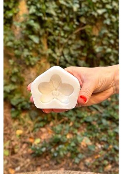 Orkide Silikon Mum Kalıbı Rustik Dekor ve Masa Üstü Kullanım için