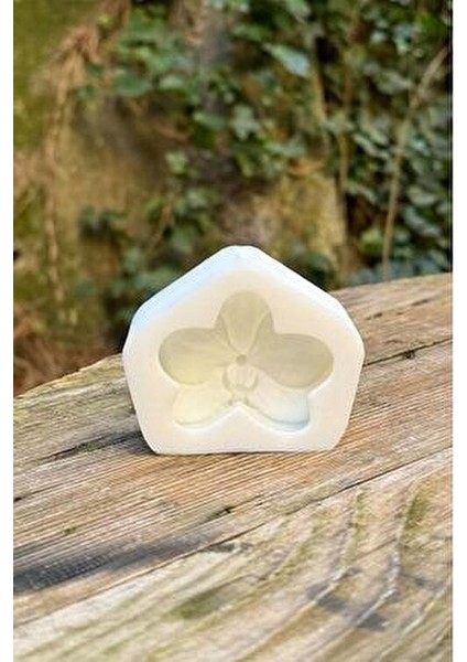 Orkide Silikon Mum Kalıbı Rustik Dekor ve Masa Üstü Kullanım için