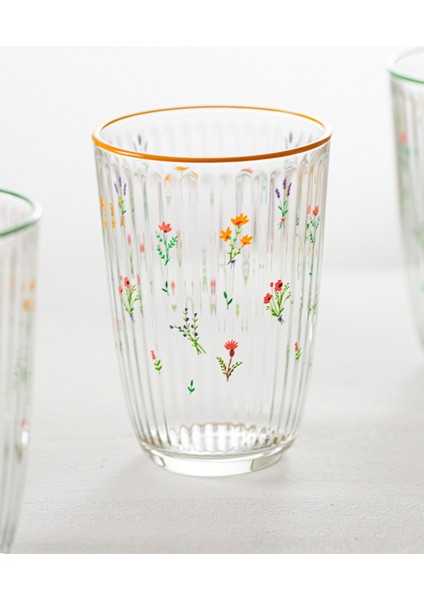Botanical 4'lü Meşrubat Bardağı Seti 395 cc