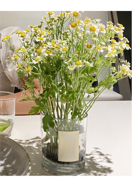 Paslanmaz Çiçek Kurbağaları Kenzan, Metal Yuvarlak Çiçek Frog Vazo Arzu Pin Tutucu, Dıy Çiçek Araç Düzenlemeleri (Yurt Dışından) indirimleri