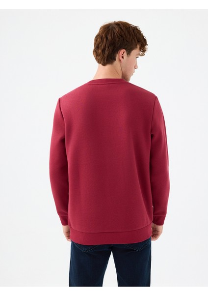 Regular Fit Erkek Sweatshirt modelleri