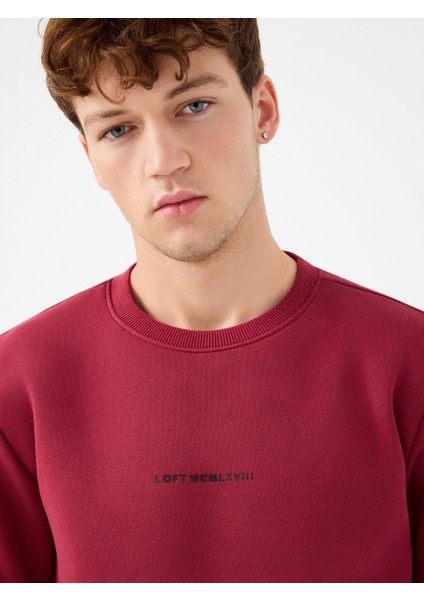 Regular Fit Erkek Sweatshirt fırsatları