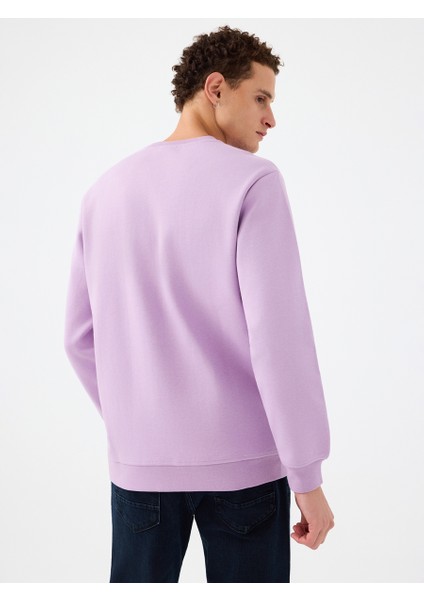 Regular Fit Erkek Sweatshirt modelleri