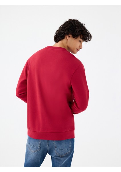 Regular Fit Erkek Sweatshirt