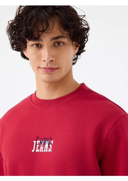 Regular Fit Erkek Sweatshirt fiyatları