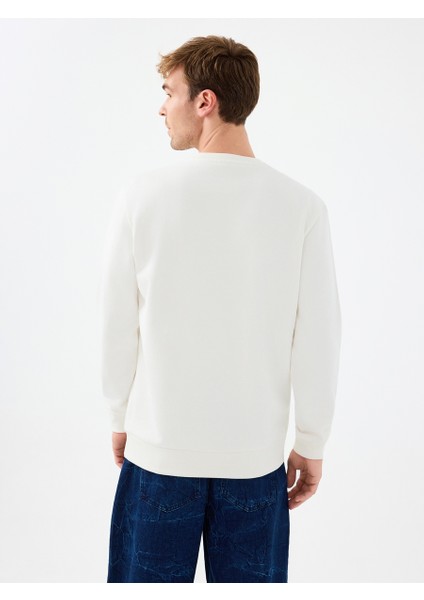 Regular Fit Erkek Sweatshirt modelleri