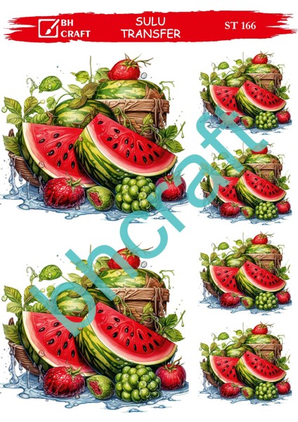 Bh Seri Açık Zemin Sulu Transfer ST-166