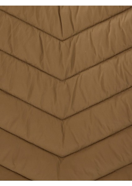 Regular Fit Erkek Mont