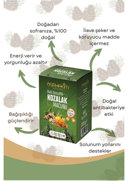 Doğal Ballı Zencefilli Kozalak Macunu 230 gr fiyatları