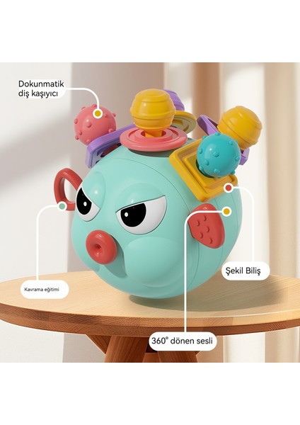 0 Ila 3 Yaş Arası Bebek El Topu Erken Eğitim Eğitici Oyuncak (Yurt Dışından) fiyatları