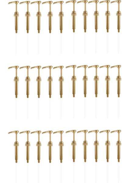 30 Adet Kahve Süt Çay Dağıtıcı Şurup Pompası Torani Şurup Için Altın Sıvı Dağıtıcı 8ml Meyve Suyu Şişesi Dağıtıcı Pompası (Yurt Dışından)