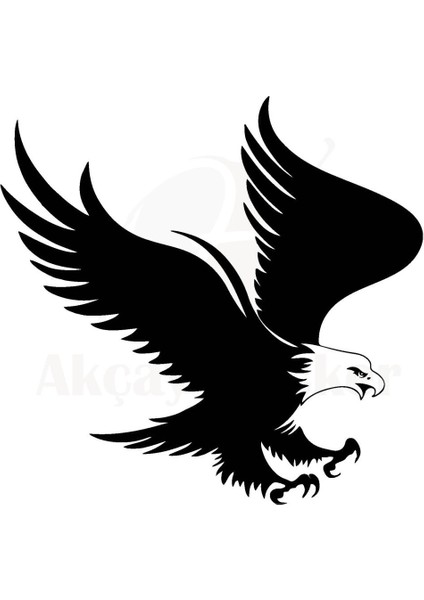 Kartal Tasarım Sticker 30 x 30 cm