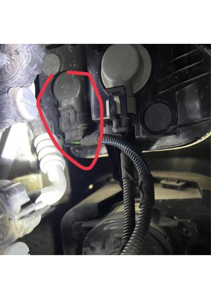 Ön Sinyal Lambası Soketi Soketi (Yurt Dışından)