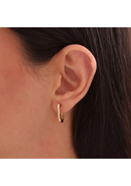 Nisera Orbit Altın Küpe