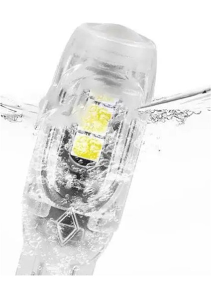 LED Direksiyon Lambası Ampulü Plaka Lambası T10 2835 3030 5smd LED (Yurt Dışından)