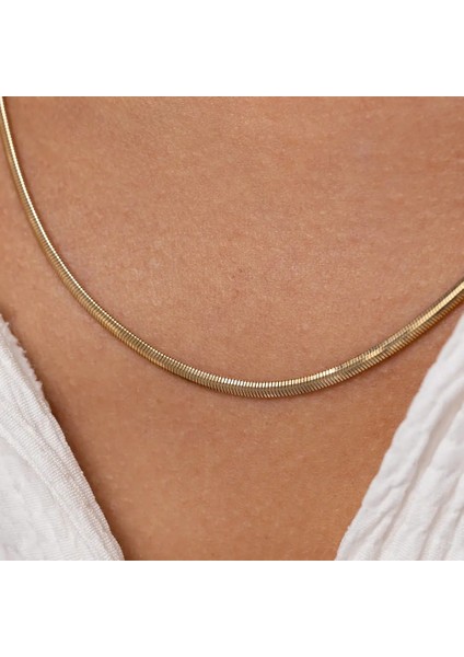 Altın Balık Sırtı Italyan Zincir Kolye